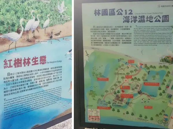 林園海洋濕地公園 | 全國唯一水母湖 紅樹林生態 仙人掌