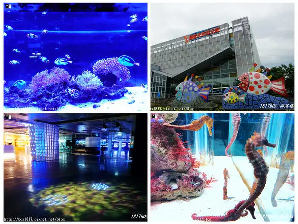 【屏東。長治】農業生物科技園區。觀賞水族展示廳。宛如置身水底世界。感受與上百種珍稀魚蝦美麗的身影共舞