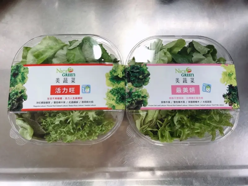 【全台】只要洗手，不用洗菜NICE GREEn 美蔬菜  來自科技農場的水耕蔬菜