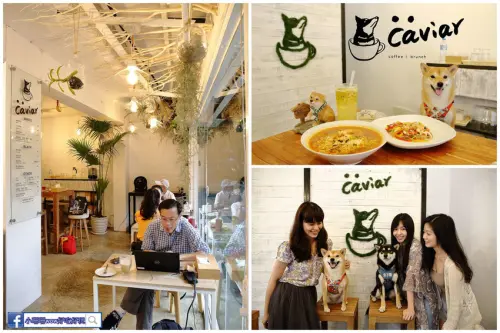 【食。台北】Caviar café+brunch魚子醬咖啡〜台北寵物餐廳推薦！可愛柴犬韓風咖啡店，美好的早午餐約會健康養生輕食料理