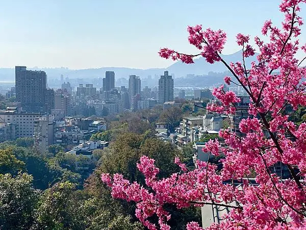 [北投景點美食] 少帥禪園 張學良幽靜故居 有歷史情懷的日式禪風百年建築 吃美食下午茶 泡湯品茶 士林天母北投美食景點 @蛋寶趴趴go
