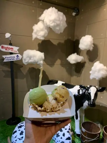 高雄左營區=<吃飽>Bigtom美國冰淇淋文化館-至聖店~吃冰吃健康，堅持三大原則『減糖、減脂』『高分子Q』『無基因改造牛奶』~文末有抽獎唷=