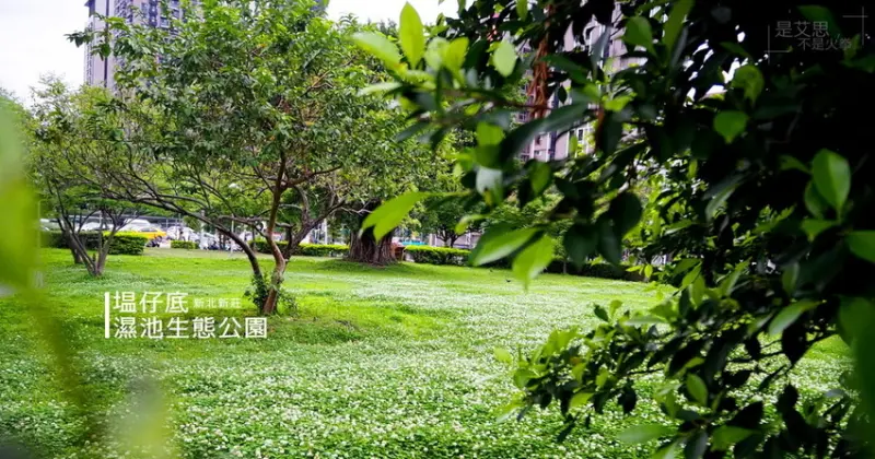 溜小孩、溜狗好去處 新莊塭仔底濕池生態公園