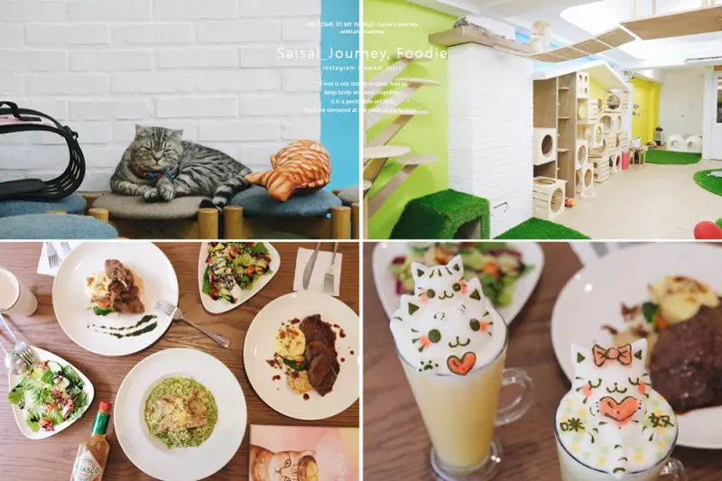 台中咖啡廳 咪奴咖啡｜科博館附近美食！份量足又好吃，也是13隻貓咪的小天地，亦可帶貓咪來玩耍，收益也會捐出部分做貓咪公益使用 ♥