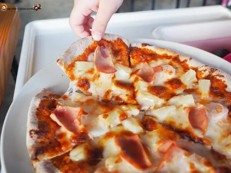 哈維夫窯烤屋Hot Wave Pizza 好吃平價的窯烤披薩 無低消 免費停車場 大草坪跑跳 還可跟羊、兔子近距離接觸   