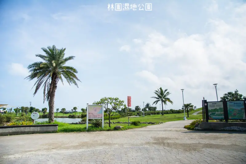｜高雄景點｜林園公12海洋濕地公園，全台唯一的水母瀉湖，季節對了就能看見倒立水母 - 阿婷的旅行札記。