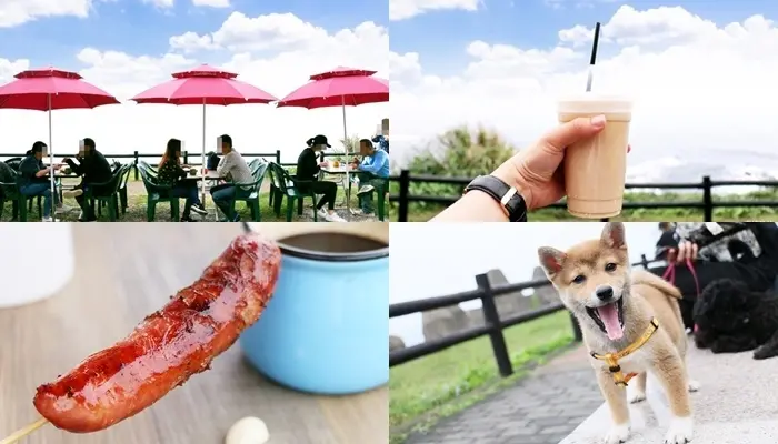 北海岸旅遊景點『基隆外木山咖啡/喵喵行動咖啡』咖啡、茶、鬆餅、厚片土司、披薩、香腸，菜單價位，旁邊有停車場及洗手間！