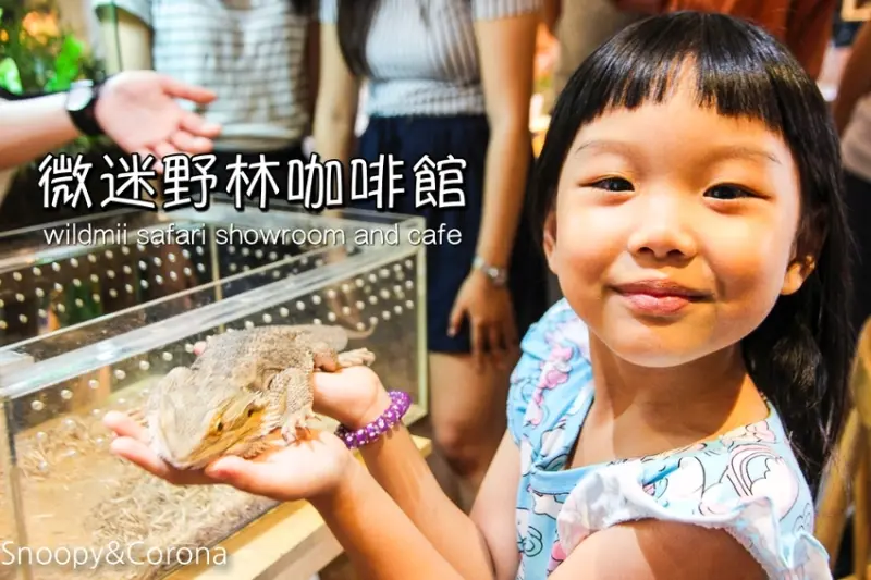 【台北咖啡館】 另類寵物咖啡館／微迷野林咖啡館～各種爬蟲類、哺乳類、兩棲類陪你喝咖啡，還能與動物近距離接觸