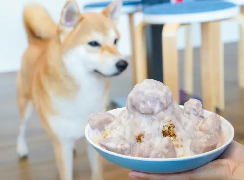 [高雄左營美食]卷尾8豆花冰品甜湯-超療癒消暑組合~芋泥芋頭冰x超萌店狗柴犬 - 美食好芃友