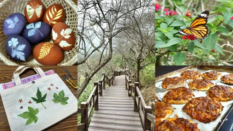 【高雄寶來一日遊】浦來溪頭社戰道/檨仔腳文化共享空間/窯烤披薩DIY/寶來社區發展協會/植物槌染DIY/彩染蛋DIY。