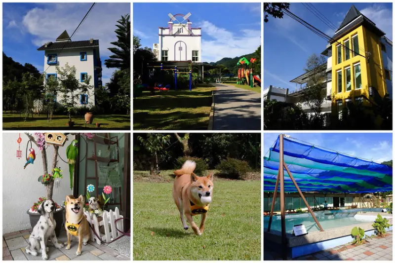 【宿。苗栗】南庄 麥克尼景觀莊園〜帶著毛小孩去旅行，這個夏天衝一波吧！大草皮、寵物游泳池、寵物餐，超棒的泳池寵物友善民宿推薦！