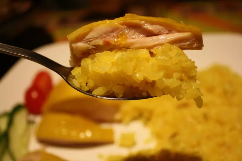 【中山區美食】林記海南雞飯:道地新加坡料理,超嫩雞肉加薑黃雞飯,肉骨茶麵,叻沙海鮮湯麵 @東吃東吃到處吃