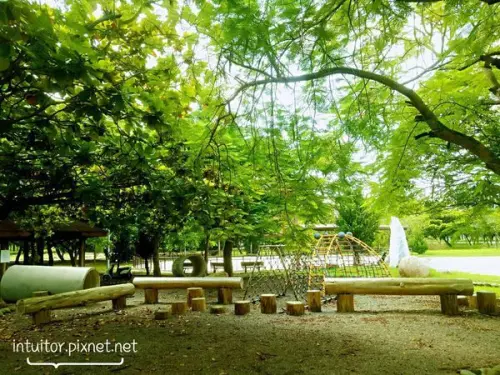 [台南]善化/哆啦A夢水泥空心管場景呈現！善化體育公園/森林系遊樂場