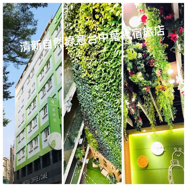 台中住宿推薦 |逢甲商圈超人氣旅店 | 葉綠宿Green Hotel|清新綠意自然 |全台首創陪睡服務旅店 |台中CP值超高的旅店