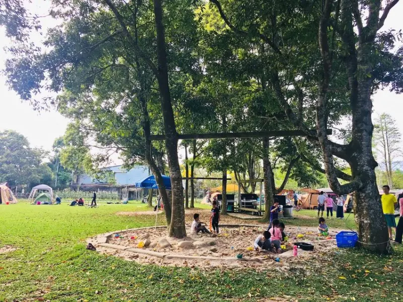 【露營】第9露 橘舍三食|原野森林風，自然樹蔭遮陽沙坑和探索樹屋、新鮮蔬果便宜販售~大草坪活動空間放肆奔跑吧!