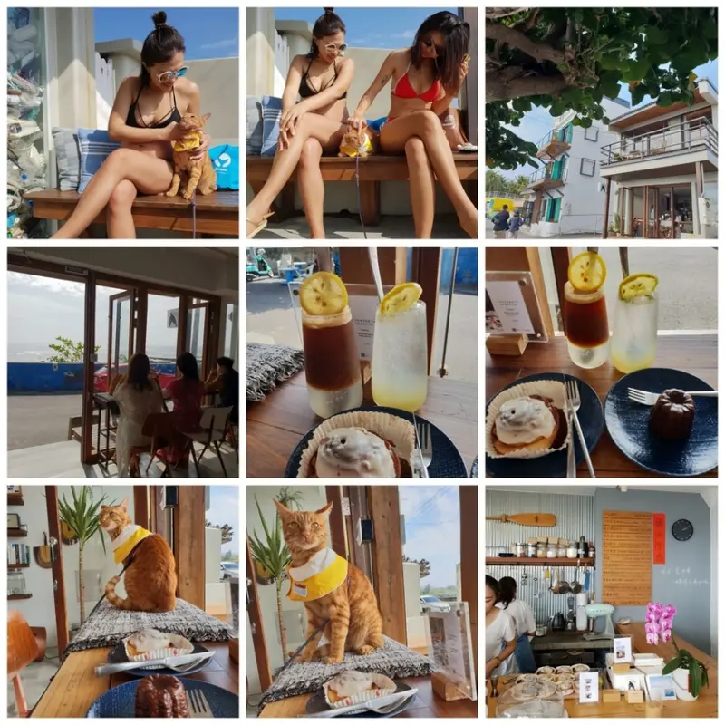【屏東.恆春】望海咖啡推薦。萬里桐。海龜咖啡友善寵物咖啡廳