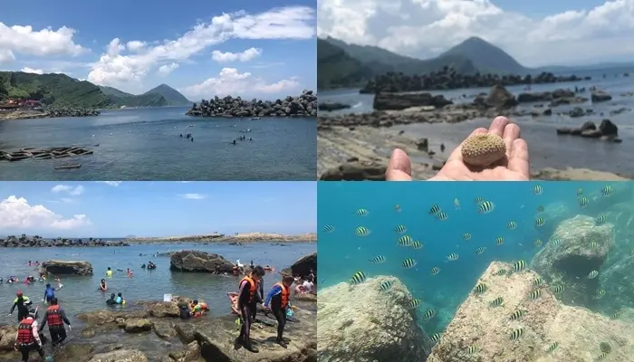 東北角人氣浮潛景點『鼻頭角公園』水肺潛水，自由潛水，親子旅遊，附有免費沖洗區及廁所，交通指南，瑞芳美食廣場