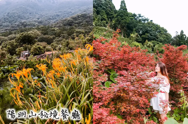 2019陽明山秘境餐廳-故鄉海芋餐廳，竹子湖賞金針花、紅楓葉；食尚玩家推薦白斬雞，平價家庭聚餐美食! - 原味覺醒 moni moni
