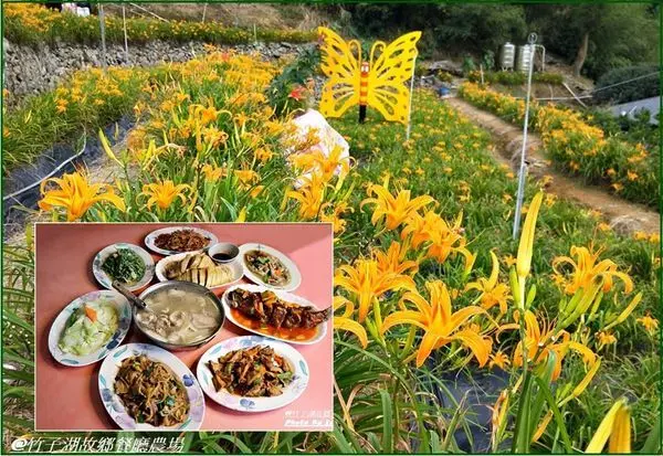《陽明山金針花田秘境》金針花海在台北閃亮登場/竹子湖故鄉農場/竹子湖故鄉海芋餐廳/陽明山仰德大道山谷消遙遊/IG拍照最夯必訪/食尚玩家推薦-『竹子湖故鄉餐廳農場』