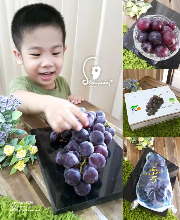 【新鮮水果】果樹寶石 菓寶食 苗栗卓蘭輸日巨峰葡萄 顆顆飽滿的甜蜜滋味