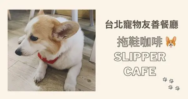 台北寵物友善│捷運北投站│拖鞋咖啡Slipper Cafe 有可愛科基坐鎮的早午餐餐廳