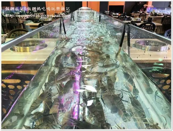 ❤ 平日668/假日699+10%‧泰國蝦現夾現烤吃到飽/現撈魚貨/鴛鴦火鍋/豐盛自助吧~『夯蝦水道泰國蝦生鮮燒烤』