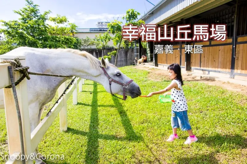 【嘉義景點】嘉義親子景點／幸福山丘馬場～馬匹餵食與牽騎體驗