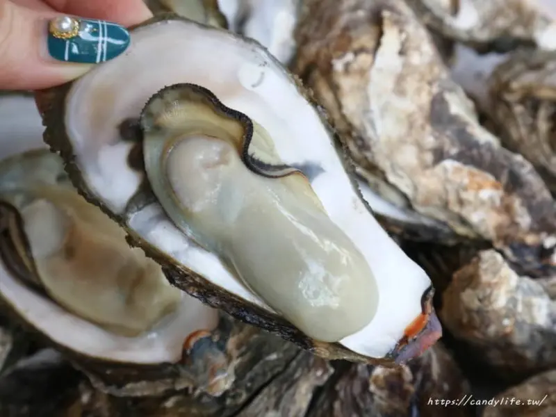 老地方海鮮燒烤現炒│超大鮮蚵在這裡也吃得到，肉質肥美，還會噴汁呢