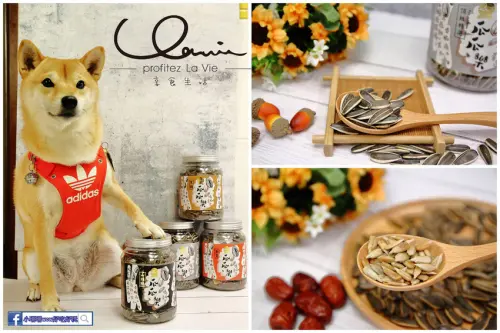 【網購/宅配】享食生活瓜瓜樂葵瓜子〜回購率超高！2019年人氣推薦！過年零食x喫茶小點x閒話家常，尚大粒一嗑就上癮，好吃沒話說〜