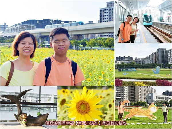 ﹝新北市淡水遊記﹞稼日蒔光基地　期間限定！輕軌、幾米主題公園、向日葵花海相伴的淡水童趣小旅行　／幾米迷不可錯過／淡海輕軌必訪景點／淡水行政中心站花海
