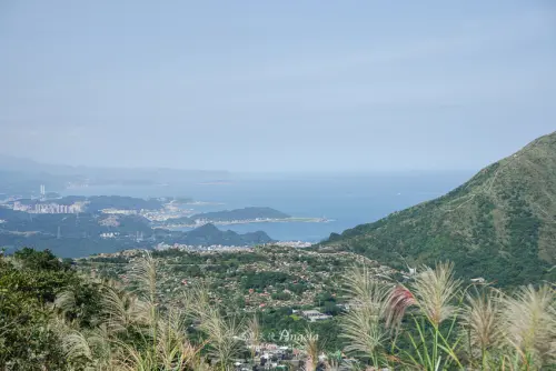 滿山芒草無敵海景與神祕石陣，金瓜石地質公園秋天正美!