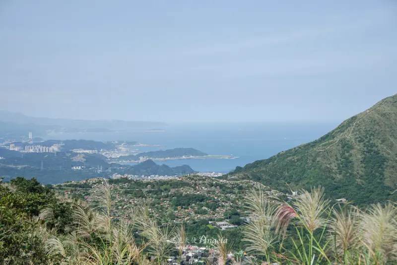 滿山芒草無敵海景與神祕石陣，金瓜石地質公園秋天正美!