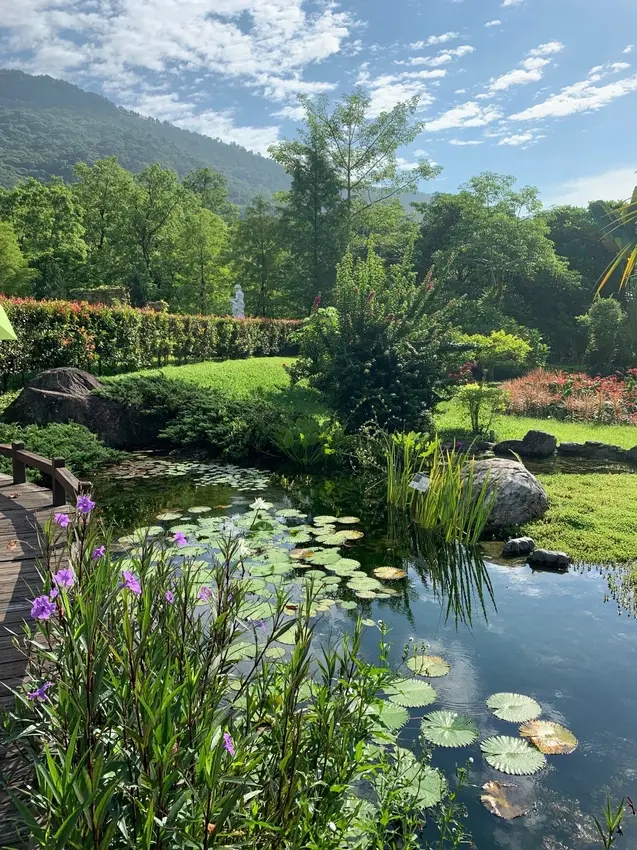 《旅宿－花蓮》 2019 花蓮蝴蝶谷溫泉渡假村/房間/晚餐/園區