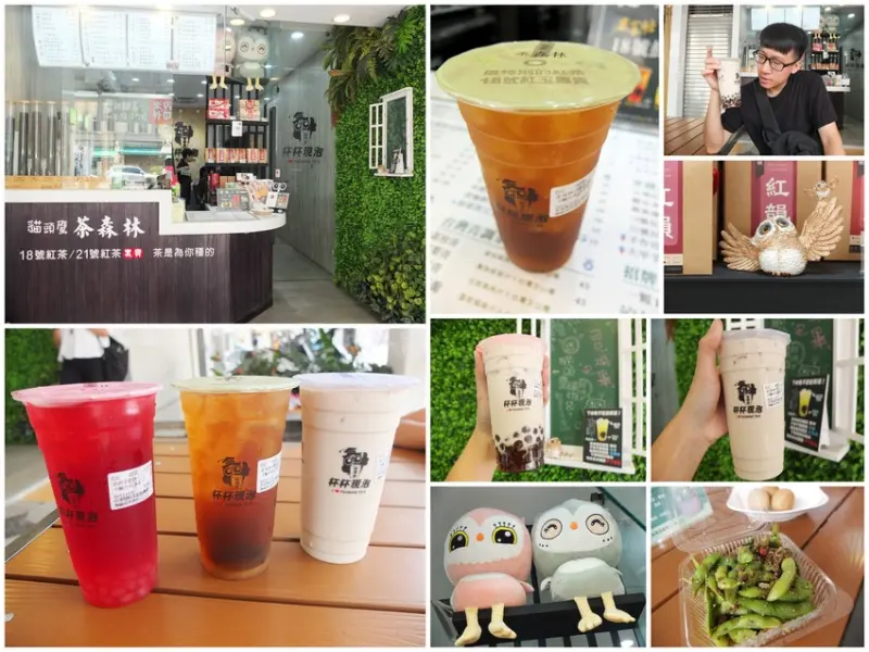 屏東飲料推薦【貓頭鷹茶森林屏東復興店】支持台灣茶農 100%台灣茶葉現萃現泡 榮獲米其林主廚評鑑肯定