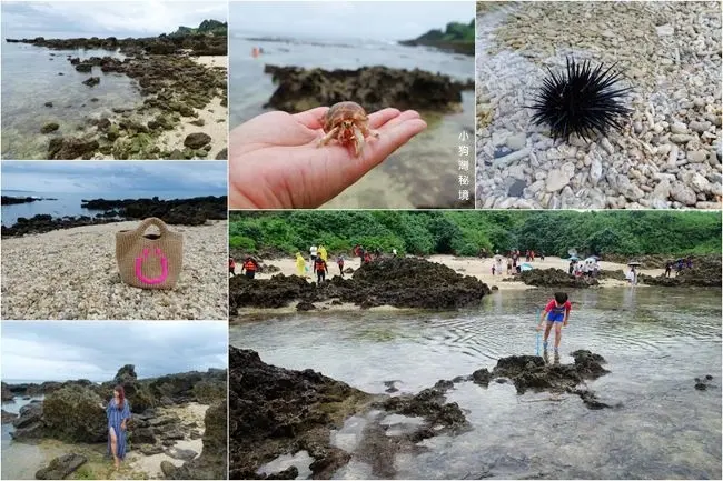 恆春墾丁隱藏版海灘 ▶ 下潭仔小狗灣秘境 ▶ 白色珊瑚海灘、礁岩泳池 最天然的親子戲水勝地 在地人也未必知道的玩水秘境!