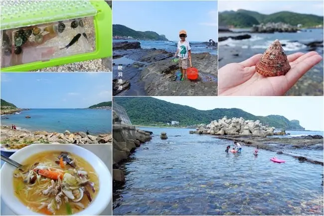 東北角玩水景點 ▶ 龍洞漁港 ▶ 大自然的浮潛戲水樂園 抓螃蟹、寄居蟹、觀察潮間帶好去處 龍洞親子玩水美食一日遊!