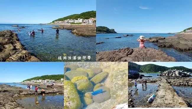 新北貢寮玩水景點 ▶ 龍洞漁港潮間帶 ▶ 東北角親子玩水、探索潮間帶好去處 藍色小魚、超大寄居蟹 浮潛戲水天堂!