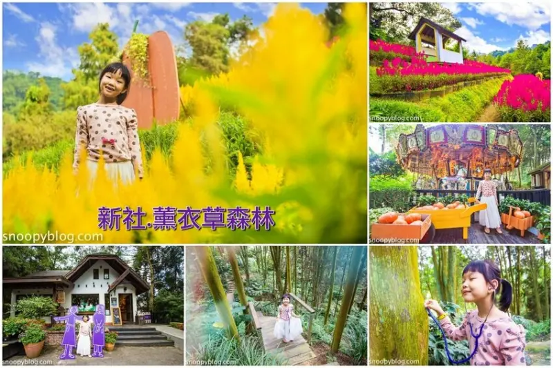 【台中景點】薰衣草森林｜新社景點～紓壓療癒的紫色森林，門票資訊、森林咖啡館菜單、森林旋轉木馬