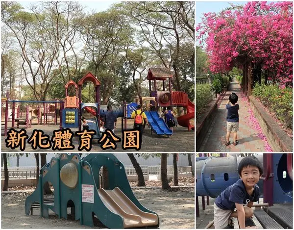 【台南新化區】『新化體育公園』新化萊茵河畔，運動 散步 遛小孩的好去處。