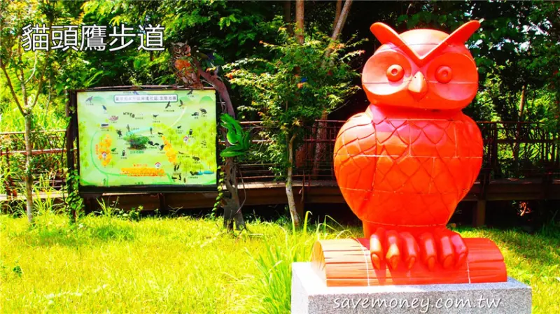 貓頭鷹步道｜太平興隆社區秘境,還有400年老樟樹 - 達人Emily的播報台