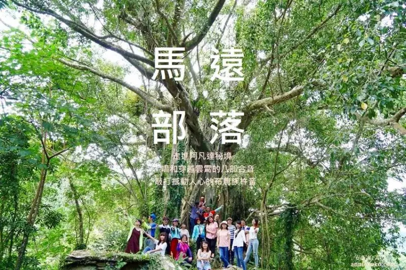 [花蓮 馬遠部落] 布農族杵音文化 走進阿凡達秘境唱和八部合音 最療癒的部落森林之旅 - 安妮的天空