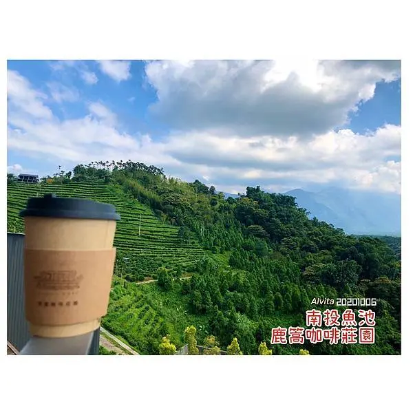 【南投。魚池】↠文文吃吃↠視野寬廣、風景優美、綠色茶園包圍的chill咖啡廳｜鹿篙咖啡莊園 寵物友善咖啡廳
