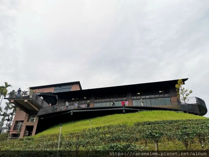 【南投魚池】鹿篙咖啡莊園 南投景觀咖啡廳 絕美茶園風景 台灣農林 100%台灣咖啡豆 南投一日遊 南投親子一日遊 附設停車場 免門票