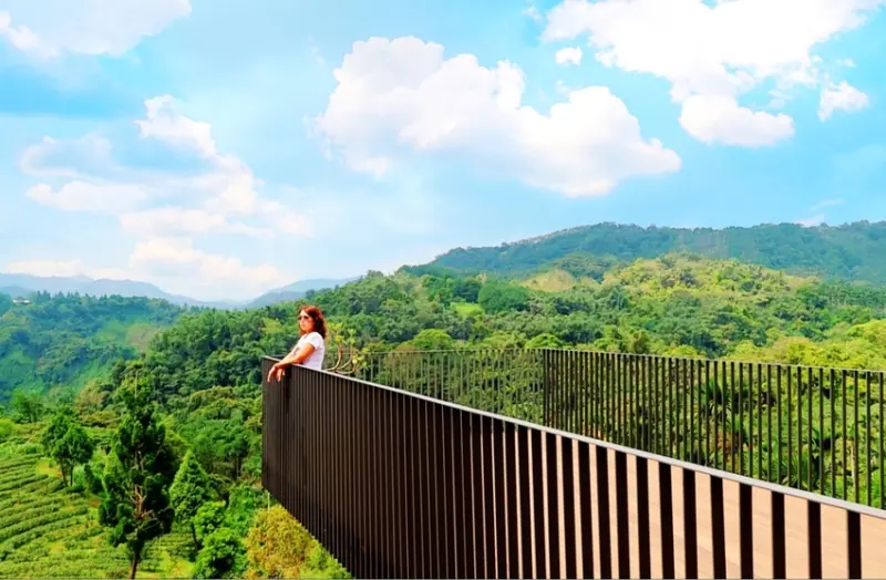 南投旅遊景點/魚池鹿篙咖啡莊園，隱身在山中茶園的網美打卡咖啡廳 - Ann‧榜哥‧生活事務所