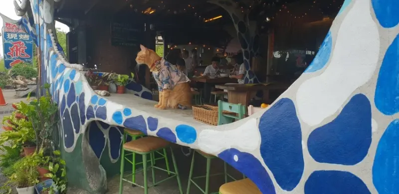 【花蓮.豐濱】伊娜飛魚。推煙燻飛魚+飛魚卵香腸。台11線特色寵物友善餐廳