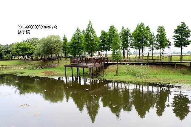 2020桃園1-4號生態埤塘漫步春光中&大溪老街呷中晝～