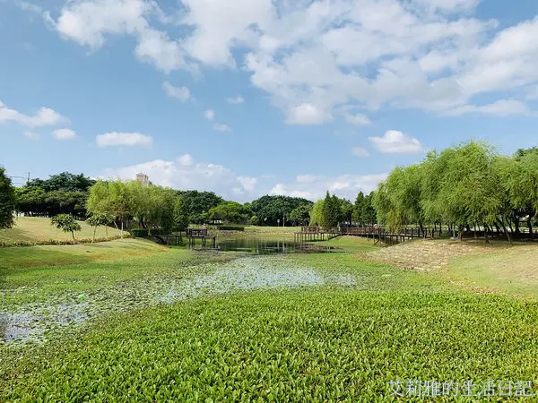 桃園1-4號生態埤塘。免費景點。綠意盎然的寧靜池畔