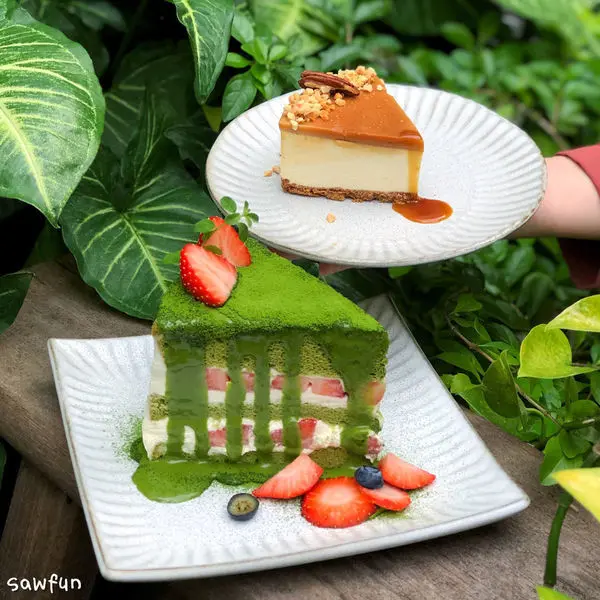 【台中美食】來森もり 老宅巷弄百元甜點咖啡廳 貓控必去 必點生乳酪 抹茶草莓戚風 西屯區美食 精誠路