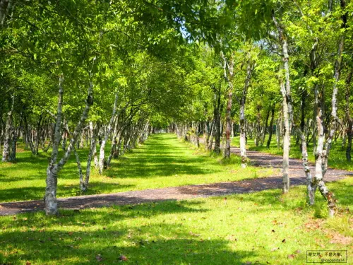 【美景美照拍不完】深度漫遊花蓮兩天一夜行程&景點介紹