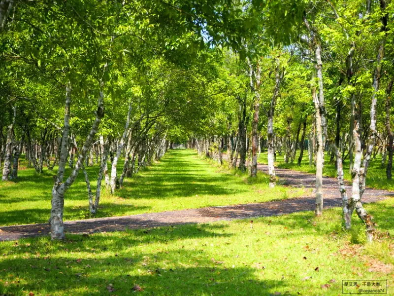 【美景美照拍不完】深度漫遊花蓮兩天一夜行程&景點介紹